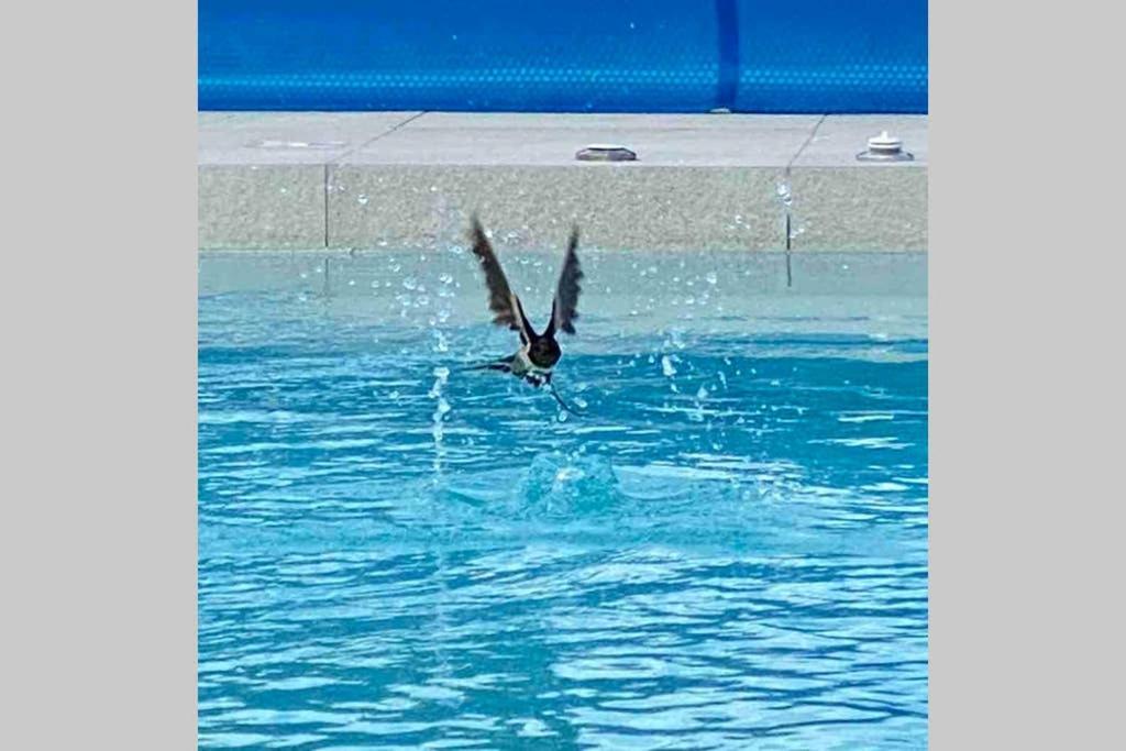 Villa Eni Medulin Sisan Heated Pool Buitenkant foto